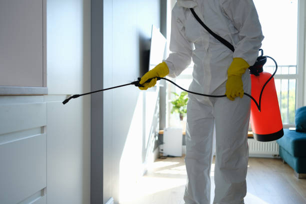 Best Toxic Mold Removal  in Fife, WA