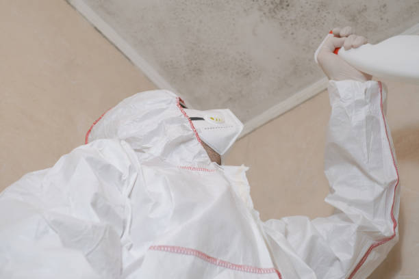 Best Crawl Space Mold Removal  in Fife, WA