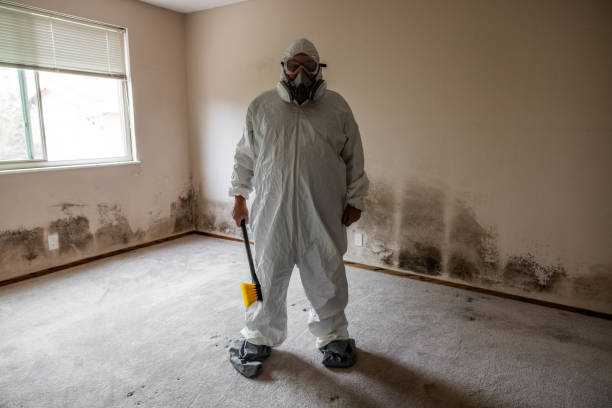 Office Mold Removal Services in Fife, WA
